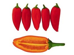 Pertama di Dunia, Cabai Tanpa Biji & Manis!