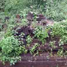 Bangunan Mirip Candi di Gunung Klothok Diduga Peninggalan Abad 10