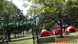 Piknik Asyik Akhir Pekan di Kebun Buah