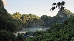 Malam Minggu Seru di Pulau Sempu