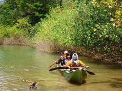 UJUNG KULON NATIONAL PARK