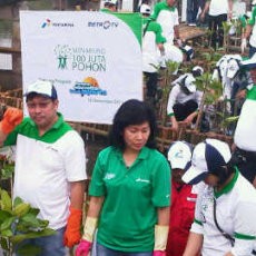 Tanam Mangrove, Dirut Pertamina Takut Kecebur