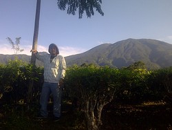 Hiking Gunung Halimun