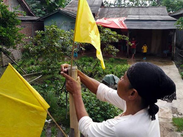Tetangga Jaga Rumah Sondang Hutagalung