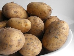 Impor Kentang Hanya Untuk Bahan Baku French Fries