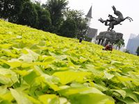 Kenapa Taman Kota Kalah dengan Mal?
