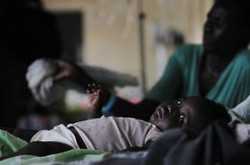 WHO: 665 Ribu Orang Meninggal Akibat Malaria