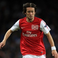 Rosicky Diincar Wolfsburg