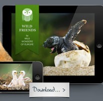 Fotopedia Hadir dalam Aplikasi iPad