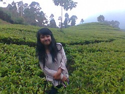 CIWIDEY - BANDUNG