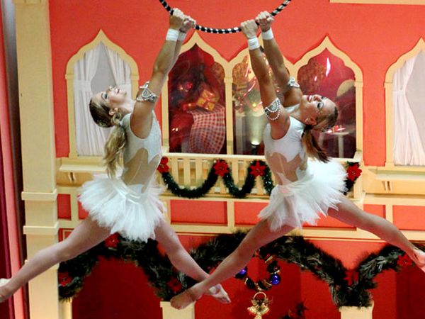 Gemulai Nan Tegas Si Balerina di Udara