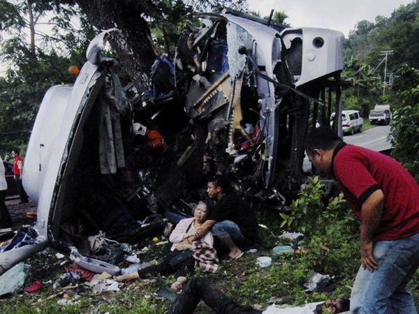 Tabrak Pohon, Bus Turis Terbelah Dua