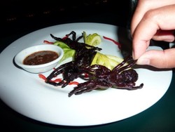 Punya Nyali Buat Mencicipi Makanan Ekstrim Ini?