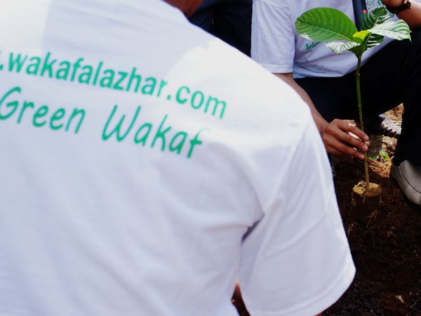 Yuk Berwakaf Pohon Jabon