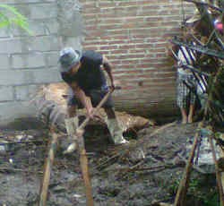 Penggalian Potongan Tubuh Korban Mutilasi Sedot Perhatian Warga