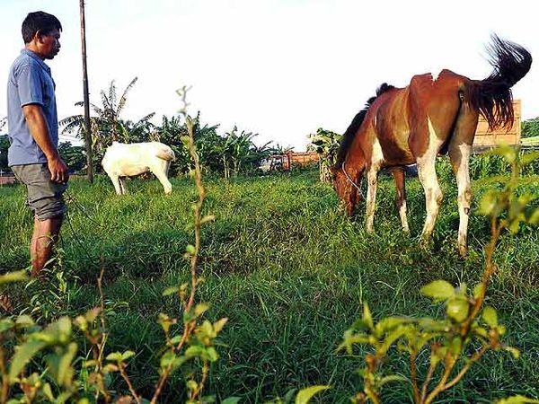 Pak Ndut Si Kusir Delman