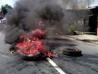 Tolak RPP Tembakau, Petani Bakar Ban