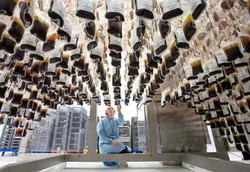 Bank Darah Terbesar di Dunia Siapkan Stok Jelang Libur Natal