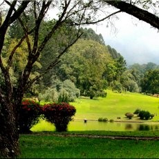 5 Ide Liburan Long Weekend Natal