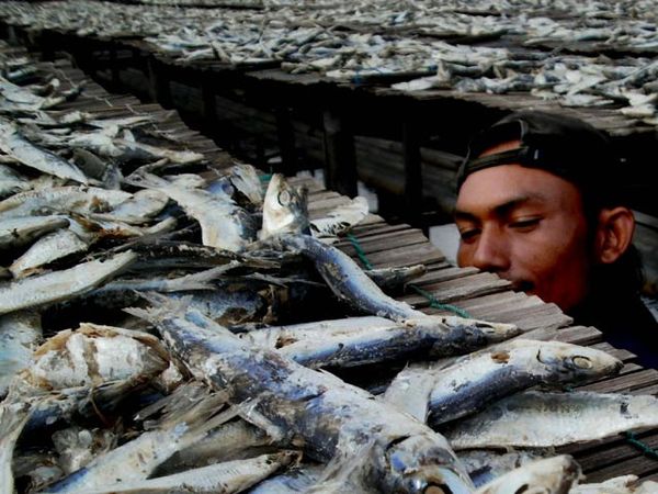 Ikan Asin Hasilkan Milyaran Rupiah