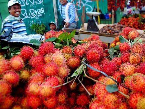 Rambutan Serbu Jakarta