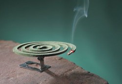 Kematian Akibat DBD Berkurang Tapi Jumlah Kasus Naik Turun