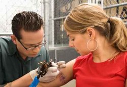 Bikin Tato di Bali, 1 Orang Australia Kena HIV