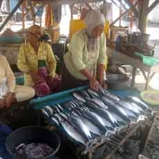 Penemuan Puluhan Mayat di Perairan Banyuwangi Pengaruhi Penjualan Ikan