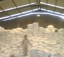 Duh! Oknum TNI Terlibat Penyelundupan Pupuk Subsidi