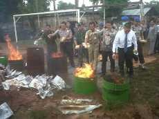 1 Kuintal Ganja & 8.000 Botol Miras Dimusnahkan di Polsek Palmerah