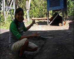 Primata Tanjung Puting