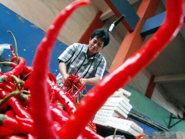 Harga Cabai Merah Tembus Rp 65.000/Kg