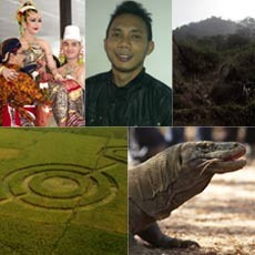 5 Hal Unik yang Menyedot Perhatian di Tahun 2011!