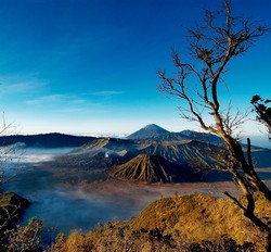 Adrenalin Rush Trip Jilid II