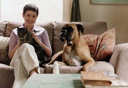 Hewan-hewan Ini Lebih Efektif Digunakan untuk Terapi