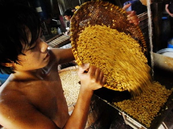 Kedelai Impor Kembali Dikenai Pajak 5 %