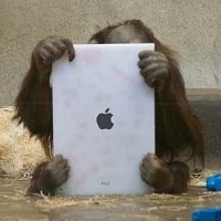 Orang Utan Senang Pakai iPad