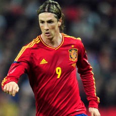 Del Bosque Cemaskan Kans Torres ke Euro 2012