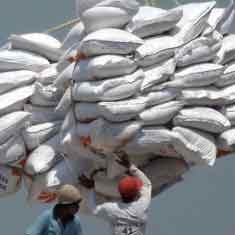 Pemerintah Pastikan Tak Ada Tambahan Impor Beras di 2012