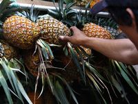 Yess.. Nanas Indonesia Rajai Pasar Global