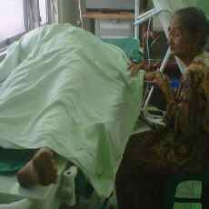 Nyelonong Saat Penebangan Pohon, Wahyu Alami Luka Parah