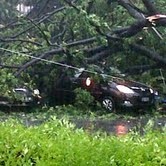 Altis dan Innova Tertimpa Pohon Tumbang di Abdul Muis Jakpus