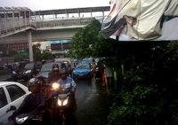 Hujan Angin, Pohon di Jl S Parman Tumbang