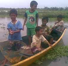 Berburu Keong Mas, Warga Mengais Rizki di Tengah Banjir