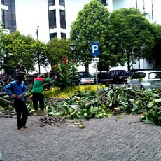 Istana Terus Berbenah Setelah Diterjang Puting Beliung
