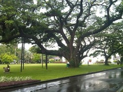 Ki Hujan, Si Tua dari Istana yang Kokoh Diterpa Puting Beliung 