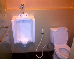 Menkes: Toilet Bersih Tidak Harus Mahal!