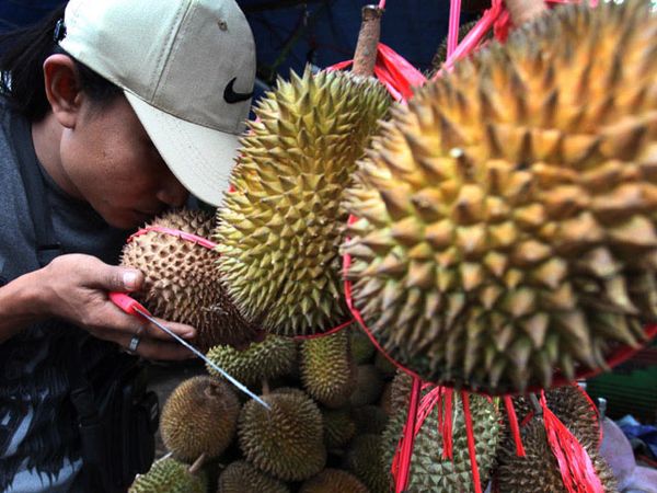 Hmmm...Wangi Itu Begitu Menggoda