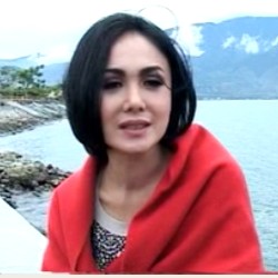 Mobil Yuni Shara Tertimpa Papan Penunjuk Jalan