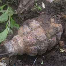 Warga Tebel Temukan Granat Saat Tanam Cabai